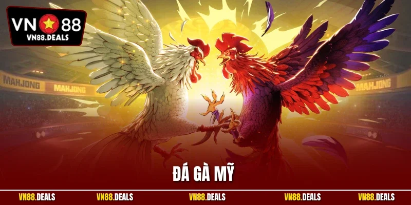 Đá gà Mỹ